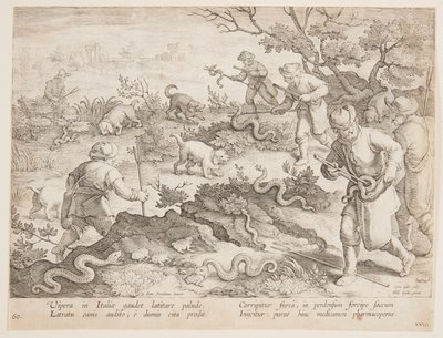 Cobras de caça de after Jan van der Straet, called Stradanus