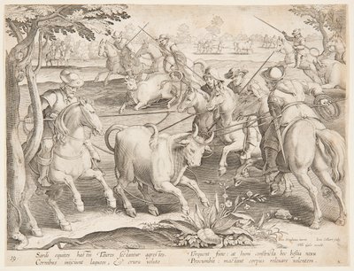 Capturando touros selvagens de after Jan van der Straet, called Stradanus
