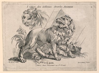 Estudos de Leões, Placa 4 de "Cahier des Desseins Diverses Animalaux" de after Jean Baptiste Huet