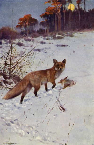 Raposa de after Wilhelm Kuhnert