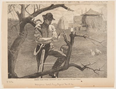 Trabalho na Fazenda da Primavera - Enxertia de Winslow Homer
