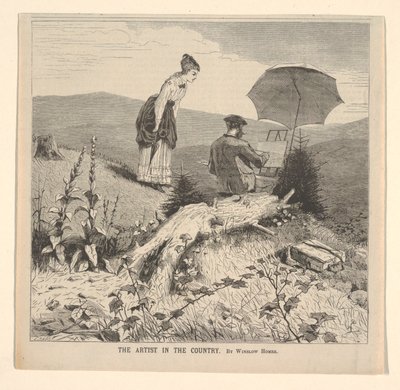 The Artist in the Country, de Appletons