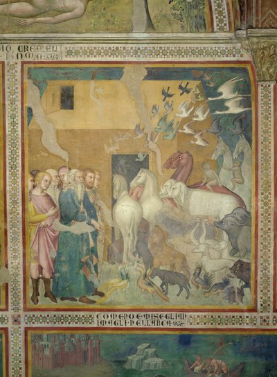Noé Liderando os Animais para a Arca, 1356-67 (ver também 59303) de also Manfredi de Battilori Bartolo di Fredi