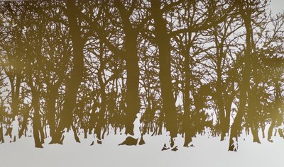 Árvores da vida, 2017, rolo de folhas de estampagem a quente sobre papel de angus hampel
