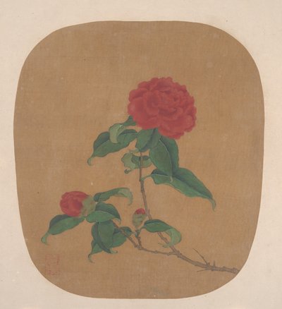 Flores de camélia de anonymous 