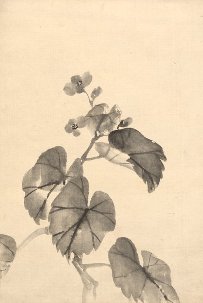 Ramo de begônia em flor de attributed to Kono Bairei