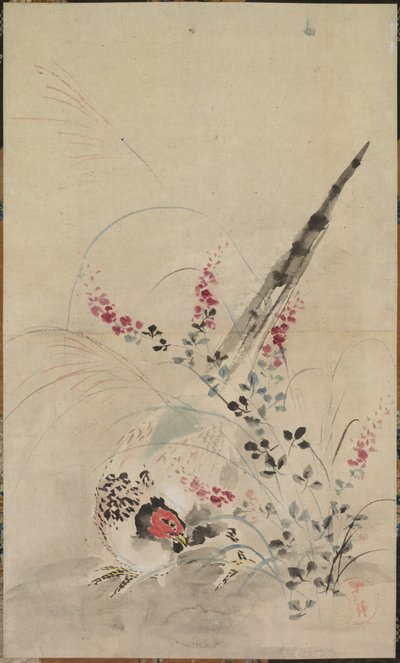 Faisão e gramíneas de attributed to Ogata Kōrin