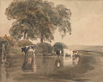 Vacas numa piscina de attributed to Peter DeWint