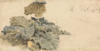 Estudo de Burdocks de attributed to Peter DeWint