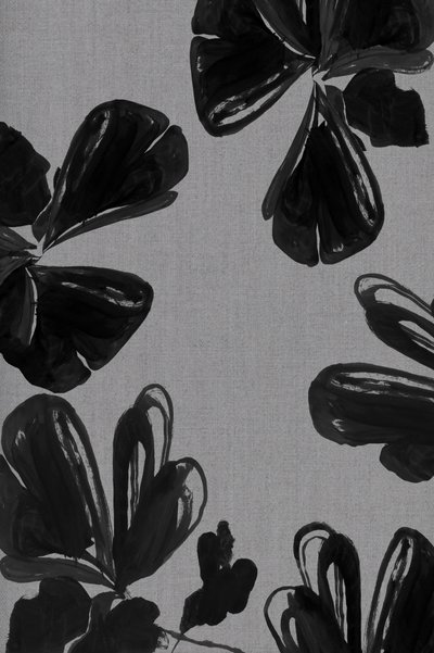 Resumo: Flores Negras de cartissi