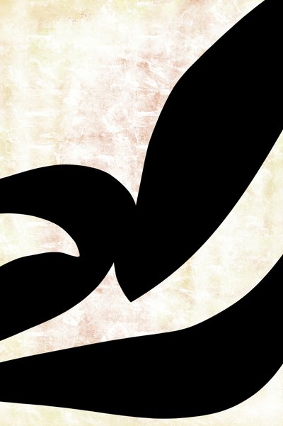 Curvas caligráficas abstratas de cartissi