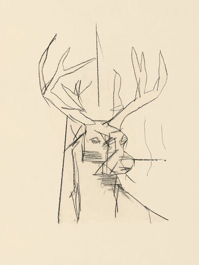 Esboço abstrato de um veado de cartissi