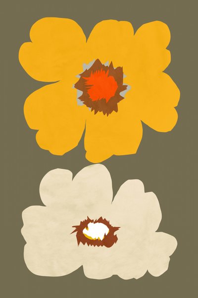 Arranjos florais abstratos de cartissi