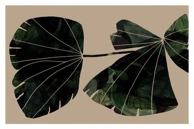 Folhas verdes abstratas de cartissi
