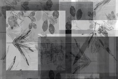 Folhagem cinzenta abstrata de cartissi