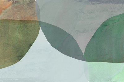 Formas naturais abstratas de cartissi