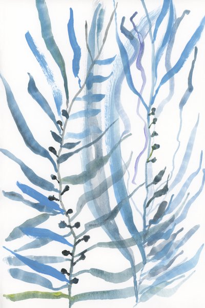 Plantas marinhas abstratas de cartissi