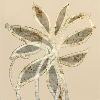 Folhas com textura abstrata de cartissi