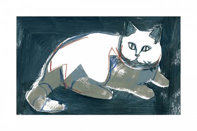 Gato Branco Artístico de cartissi