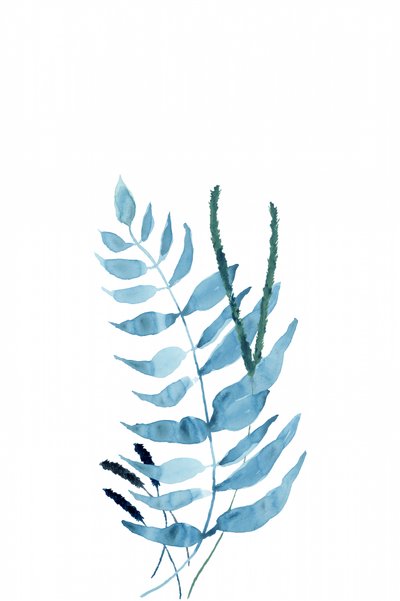 Fetos em aquarela azul de cartissi