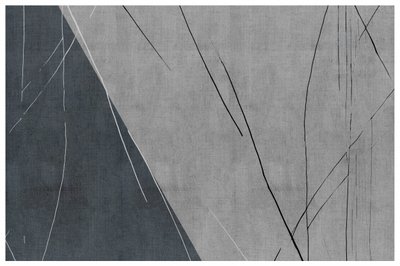 Linhas abstratas em cinzento frio de cartissi