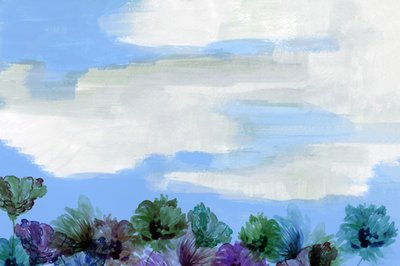 Céu floral de sonho de cartissi