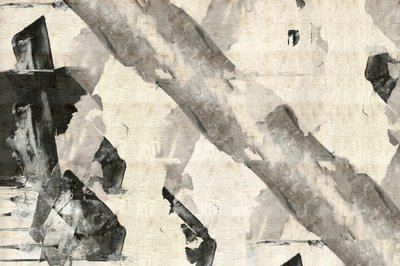 Formas monocromáticas dinâmicas de cartissi