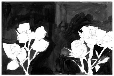 Flores noturnas elegantes de cartissi