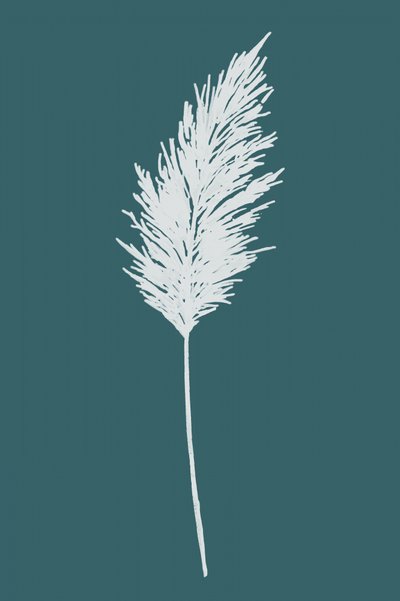 Pena de Pampas Elegante de cartissi