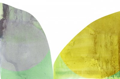 Formas orgânicas fluidas de cartissi