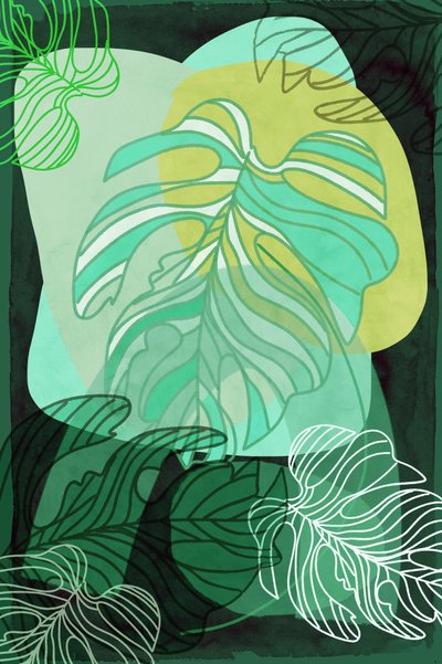 Monstera Orgânica Verde de cartissi