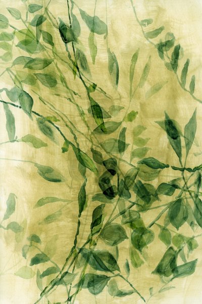 Folhas em aquarela verde de cartissi