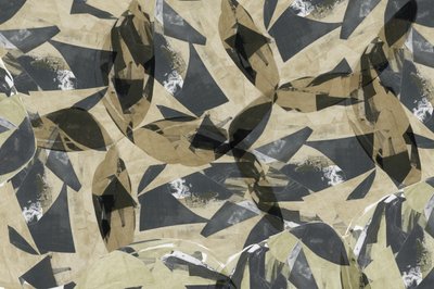 Folhas geométricas em camadas de cartissi