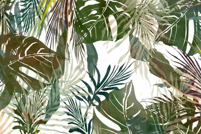 Folhas tropicais exuberantes de cartissi