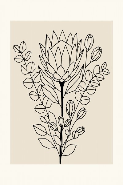 Protea e eucalipto minimalistas de cartissi