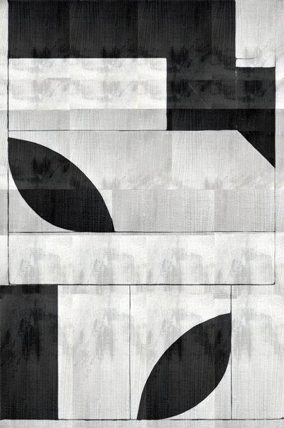 Formas orgânicas monocromáticas de cartissi