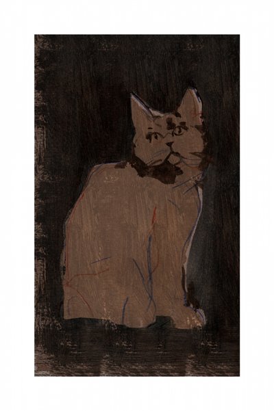 Retrato de um gato mal-humorado de cartissi