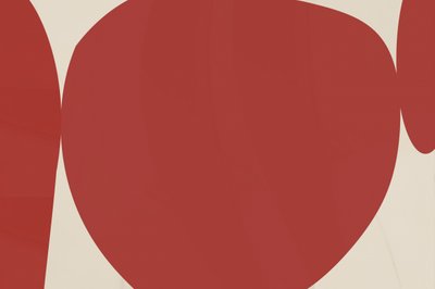 Formas Orgânicas da Terra de cartissi