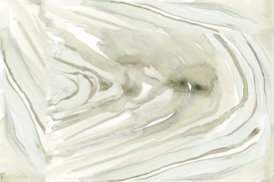 Abstrato Orgânico Fluido de cartissi