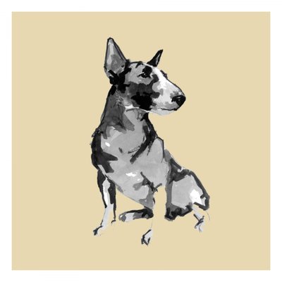 Bull Terrier sentado de cartissi