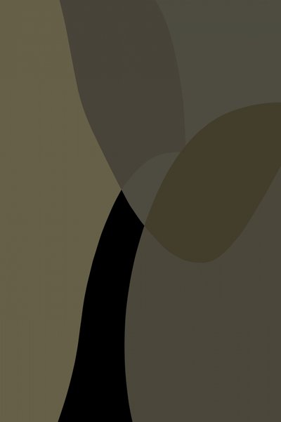 Curvas abstratas suaves de cartissi