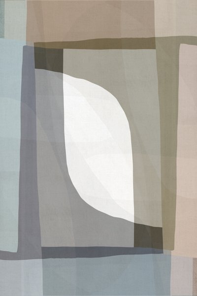 Abstrato Suave e Orgânico de cartissi