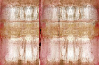 Textura suave e orgânica de cartissi
