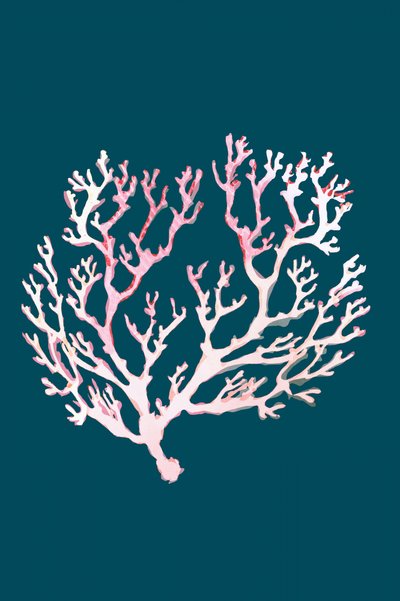 Coral rosa suave de cartissi