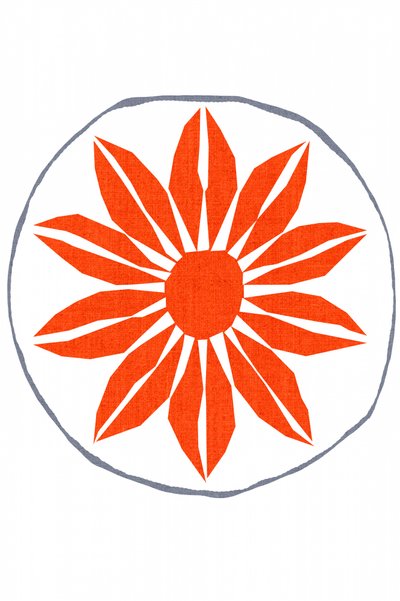Flor laranja vibrante de cartissi