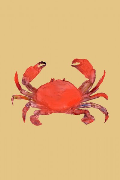 Caranguejo Vermelho Vibrante de cartissi