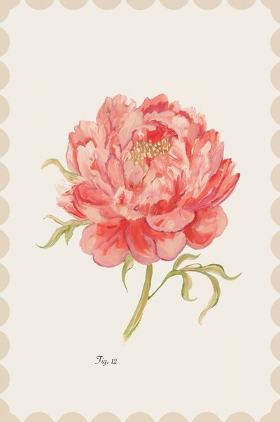 Peônia Rosa Vintage de cartissi