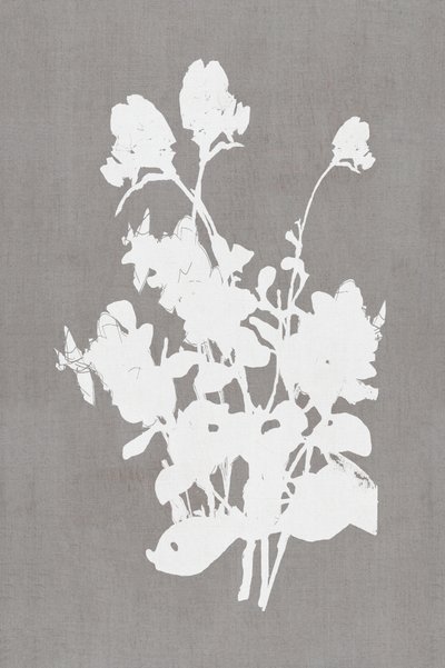 Silhueta floral branca de cartissi