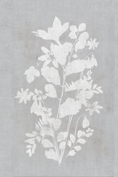 Silhueta floral branca de cartissi