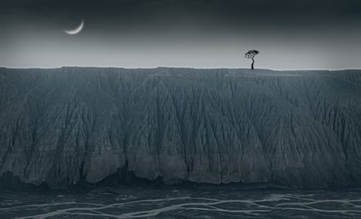 Árvore Solitária, Lua Crescente de chenyi wang